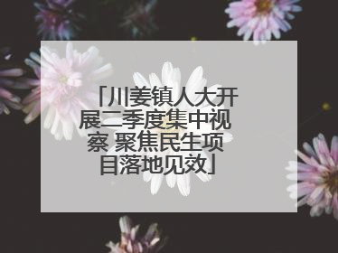 川姜镇人大开展二季度集中视察 聚焦民生项目落地见效
